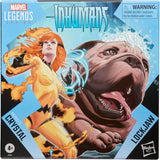 Inhumans Marvel Legends Series Crystal and Lockjaw Deluxe 6-Inch Action Figures